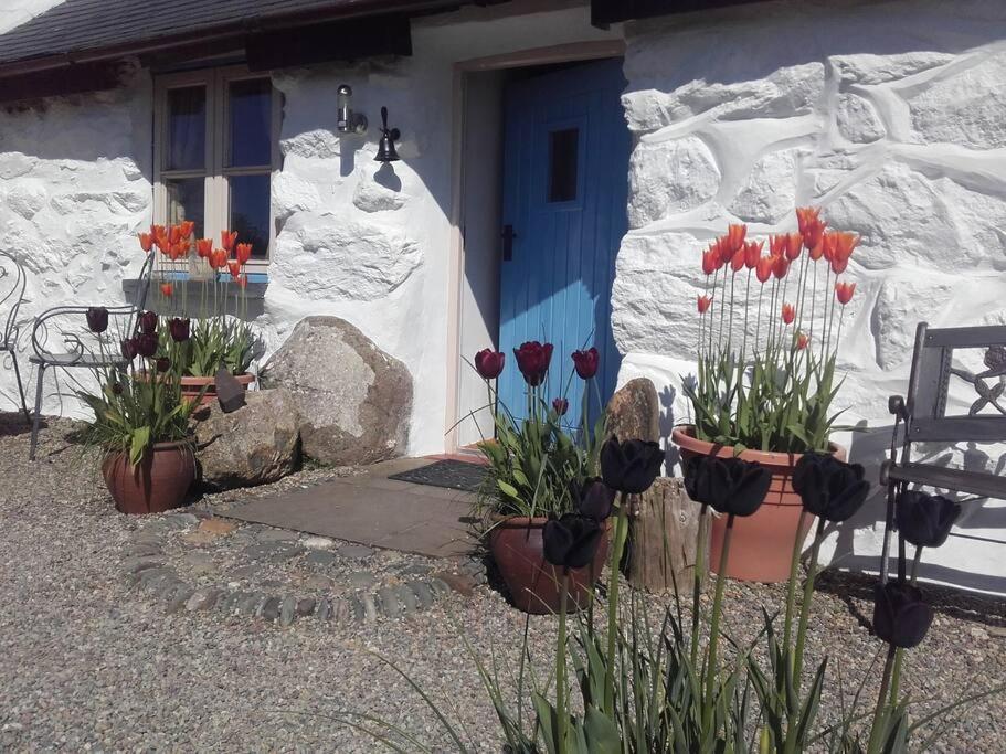 Traditional Stone Cottage With Sea Views In Snowdonia National Park Brynkir Exteriör bild