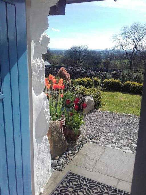 Traditional Stone Cottage With Sea Views In Snowdonia National Park Brynkir Exteriör bild